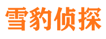 松原婚外情调查取证